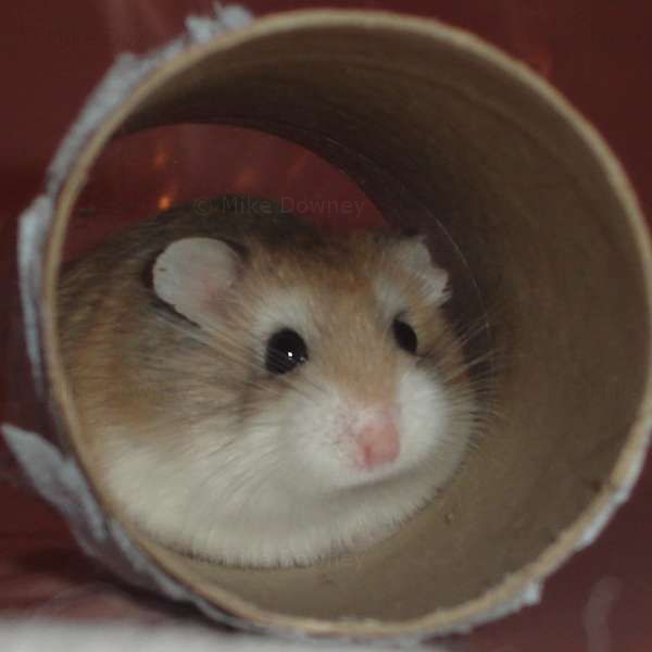 Alysia in a tube