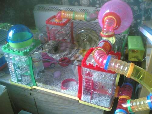 hamster castle