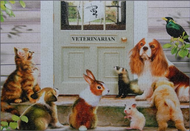 Vet Jigsaw