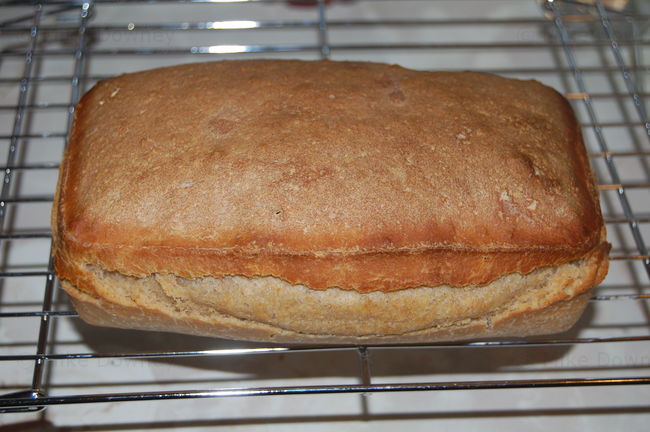 Sourdough Ciabatta