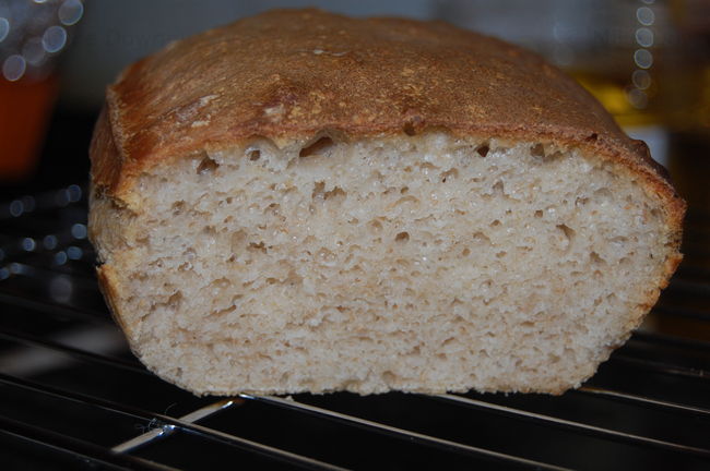 Sourdough Ciabatta