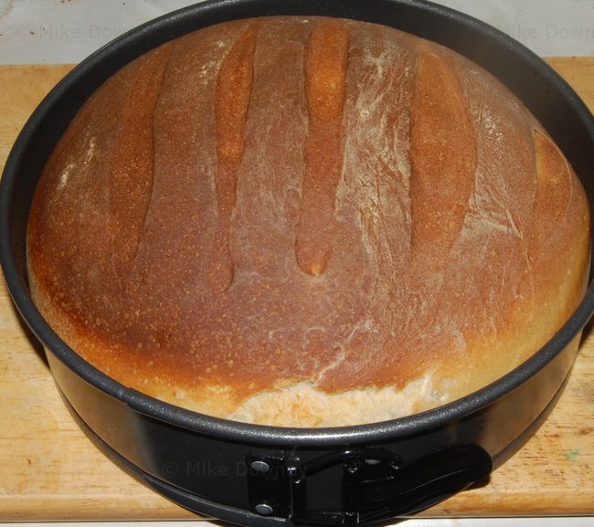 Sourdough loaf