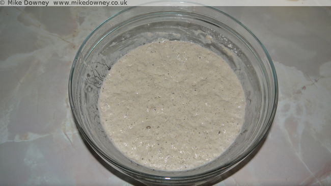 the fermenting batter