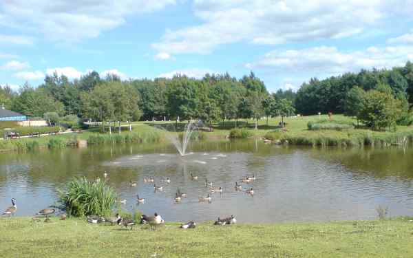 Stafford Services Lake