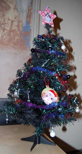 The tree with proper decorations