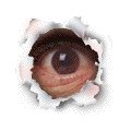 pinhole webring logo